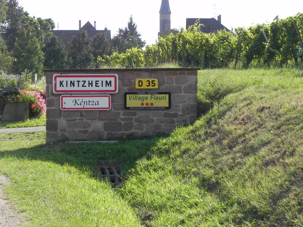 Le Nid De Cigognes Kintzheim Villa Oda fotoğraf