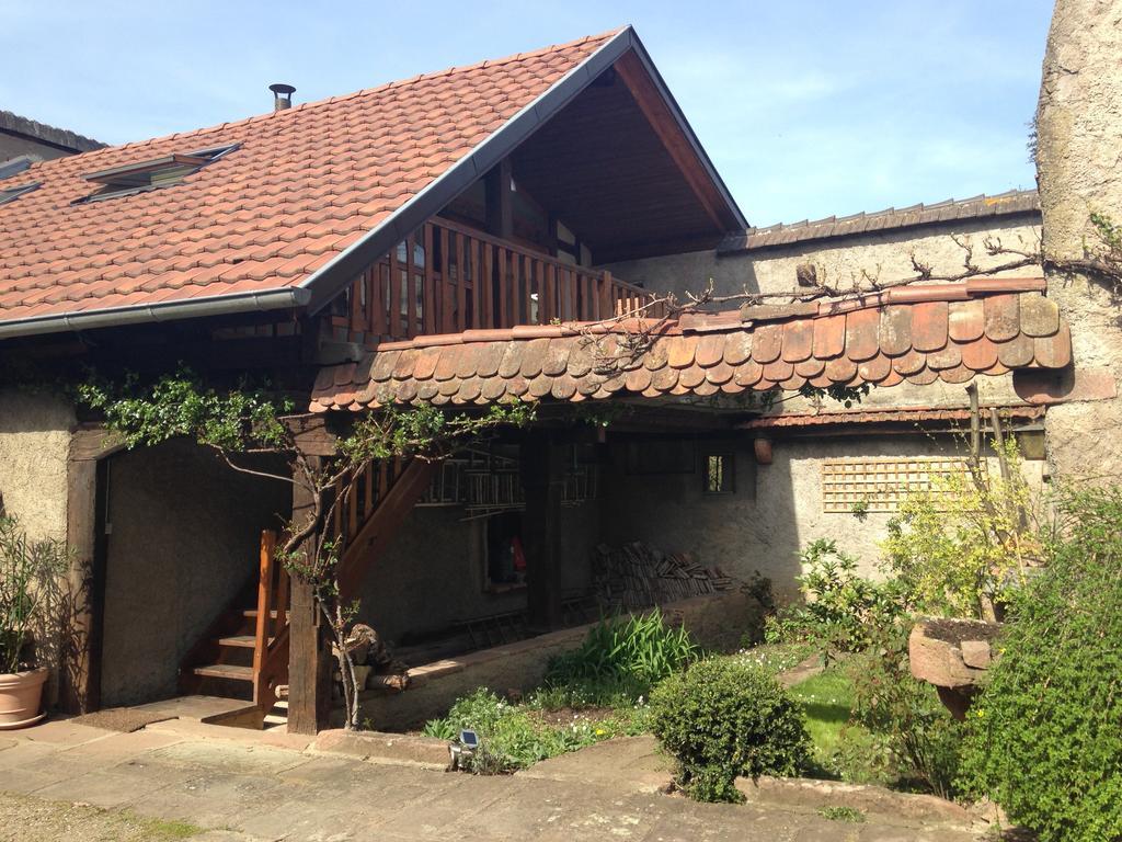 Le Nid De Cigognes Kintzheim Villa Oda fotoğraf